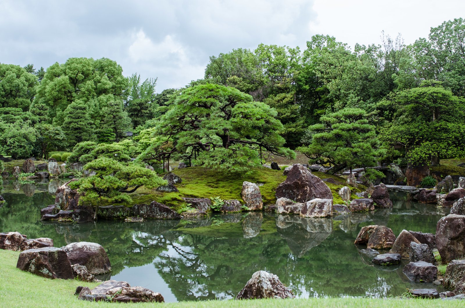 The lily pond and grounds at Honeysuckle Hill